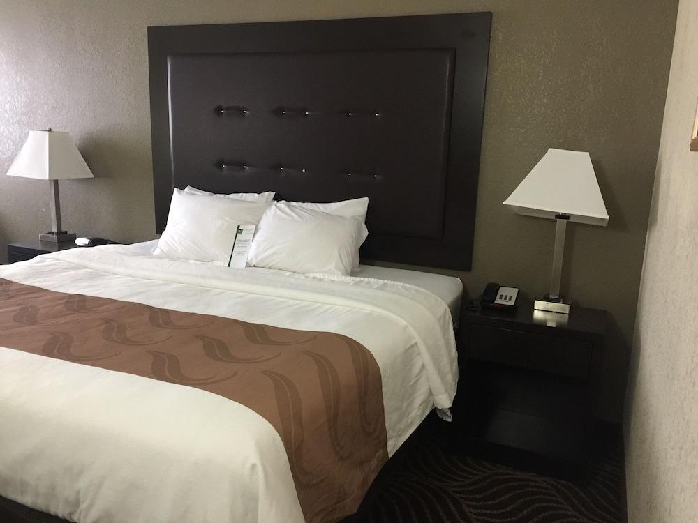 Quality Inn & Suites Florence - Cincinnati South Bagian luar foto